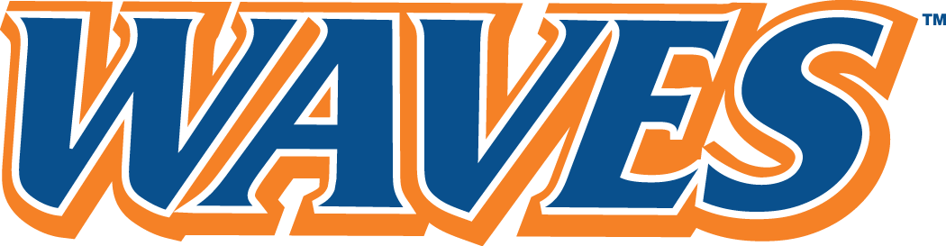 Pepperdine Waves 2004-Pres Wordmark Logo v3 diy iron on heat transfer